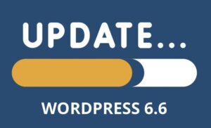 wordpress 6.6 mdr services